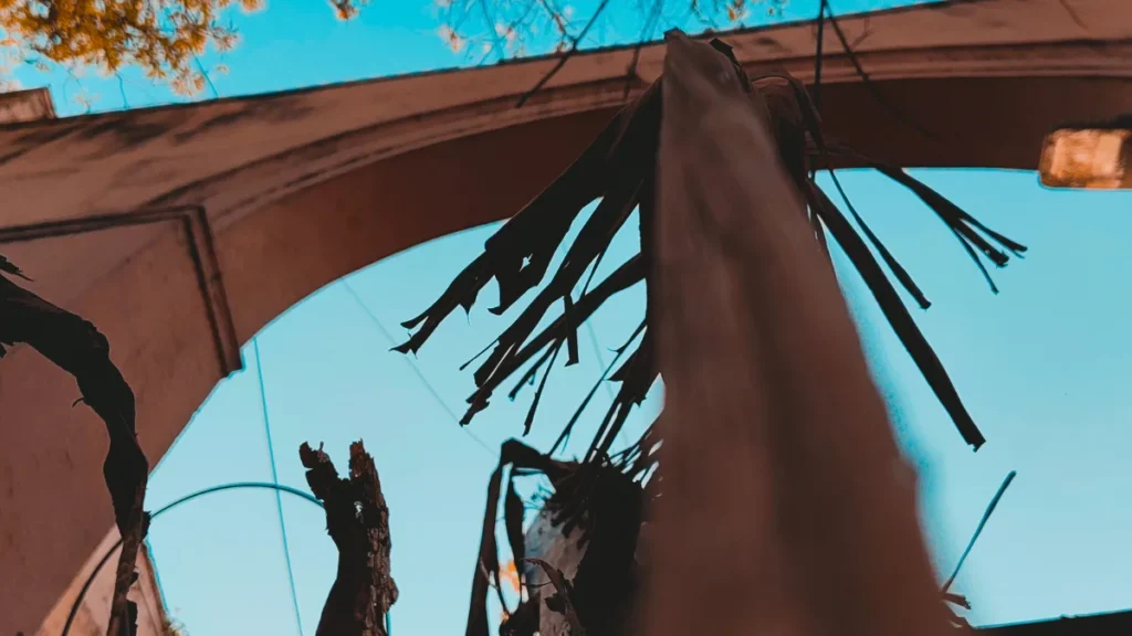 Nothing Phone (4a) Camera Sample 4